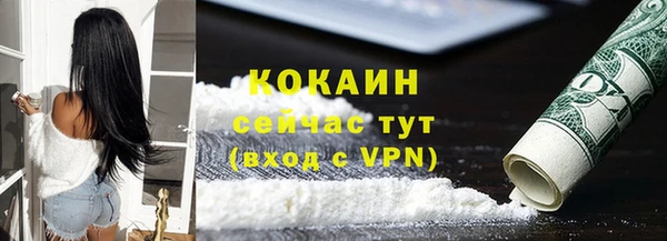 тгк Абаза