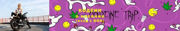 тгк Абаза