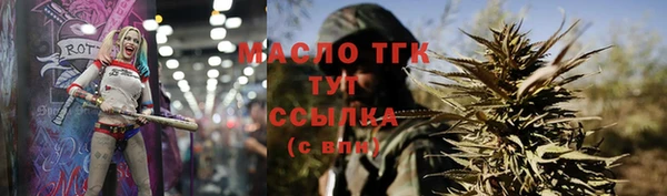 тгк Абаза